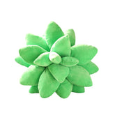 Succulent Pillow boogzel apparel