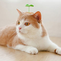 plant hair pin boogzel clothing