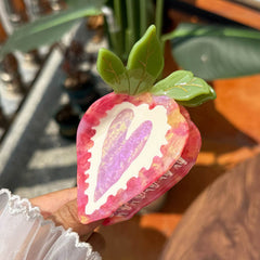 strawberry hair claw clip boogzel clothing