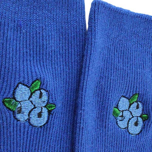 Blueberry Hill Socks boogzel appararel