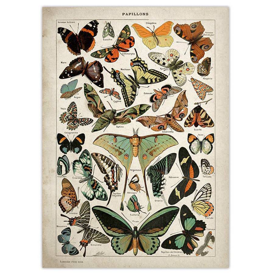Papillons Vintage Poster