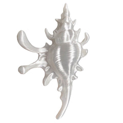 mermaid sea shell pearl hair claw boogzel clothing